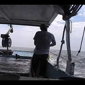 COMMERCIAL FISHING FOR KING MACKEREL AND WAHOO