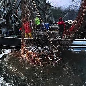 Sierra Anderson Alaska Commercial Fishing