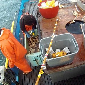 Commercial Dungeness Crab Fishing