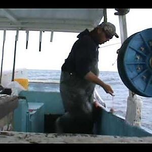 COMMERCIAL  FISHING FOR RED SNAPPER ON AN OIL RIG