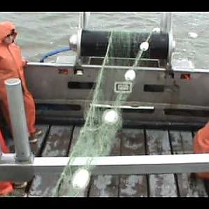 COMMERCIAL FISHING WITH GILLNET ON BRISTOL BAY SOCKEYE SALMON PART2