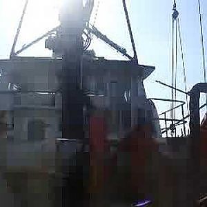 Commercial Cod Fishing