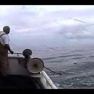 Commercial Albacore Fishing - FV/EZ1