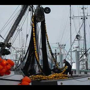 COMMERCIAL FISHING PURSE SEINE FOR HERRING IN SITKA ALASKA