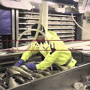 Sustainable Alaska Cod Fishing - The Story of a Commercial Longliner