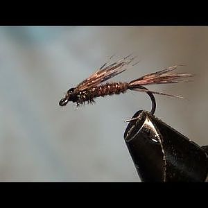 Fliegenbinden: Pheasant tail Variante