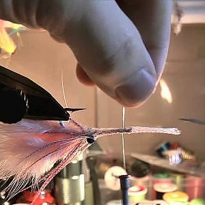 Fly Tying/Fliegenbinden/Big Eye Squid-Variante