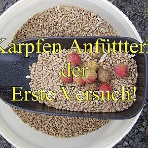 Let´s Fish Tutorial Karpfen Anfüttern, der erste Versuch (HD)