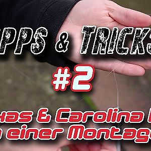 Tipps & Tricks #2 | Texas & Carolina Rig in einer Montage by Christopher Jung