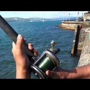 Extreme Kingfish Hunting - LBG Fishing In Wellington New Zealand - Man vs Wild Fishing