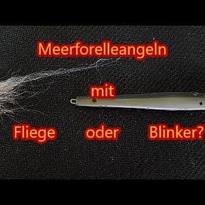 Meerforellenangeln - mit Blinker oder Fliege? Livebiss - YouTube