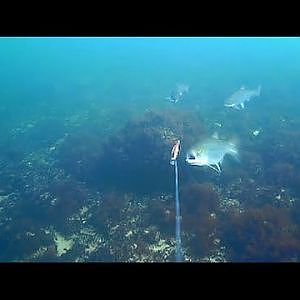 Rügen unter Wasser Teil 1 - YouTube