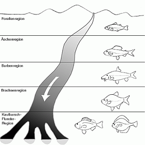 Fischereibiologische Zonierung eines Fließgewässers vom Ursprung bis zur Mündung
