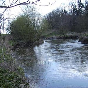 Im Sommer schwer ranzukommen