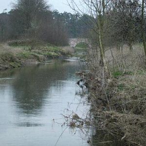 früher Frühling