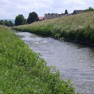 In weiten Teilen begradigt, findet man immer wieder interessantere Stellen