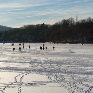 Winterbilder an der Steinbachtalsperre 010 (600 x 400)