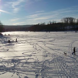 Winterbilder an der Steinbachtalsperre 015 (600 x 400)