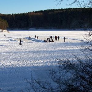 Winterbilder an der Steinbachtalsperre 024 (600 x 400)