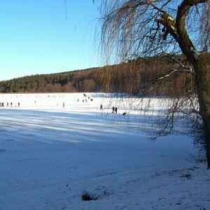 Winterbilder an der Steinbachtalsperre 029 (600 x 400)