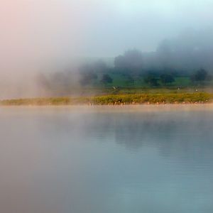 Nebel über den See