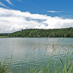 Lausheimer Weiher