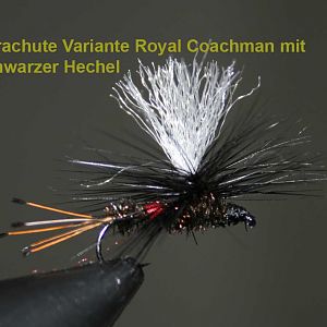 IMG 4874 Parachute Variante Royal Coachman