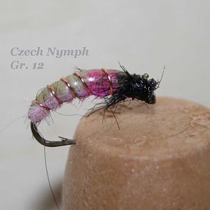 IMG 4972 Czech Nymph