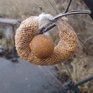 Schön gekruschte boilies von nutrabaits trigga ice