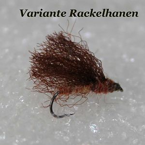 IMG 5515 Variante Rackelhanen