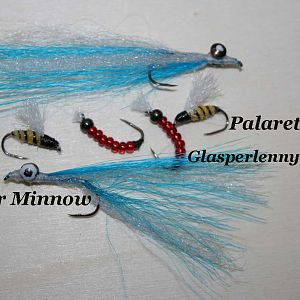 IMG 5737 Palaretta Clouser Minnow Glasperlennymphe