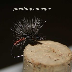 IMG 5745 Paraloop Emerger Kopie