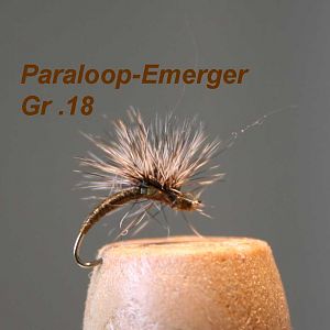 IMG 7177 Paraloop Emerger