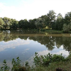 sehr schöner Weiher