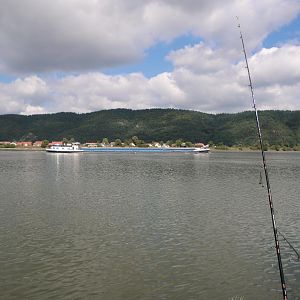 Blick auf die Donau