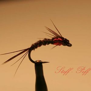 IMG 7538 Mix of Pheasant Tail and Ritz D