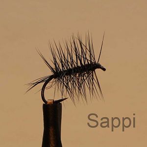 IMG 4903 Sappi