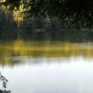 Sandbank im Silbersee