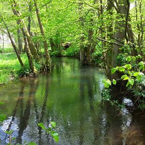 20150510 113939 Püttlach oberhalb Pottenstein