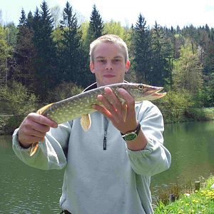 Minihecht auf Köfi, Schwimmt wieder!