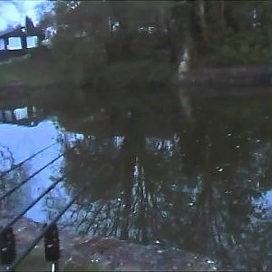 carp and eel fishing a year on the canal