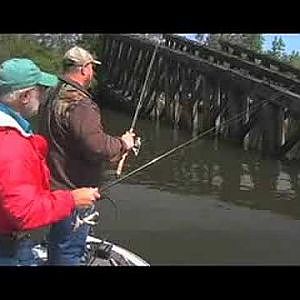 Secrets to Successful Tidal Bass Fishing