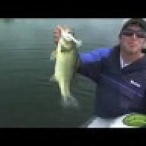 Bass Fishing Tips - Catching a Bass On A Swimbait