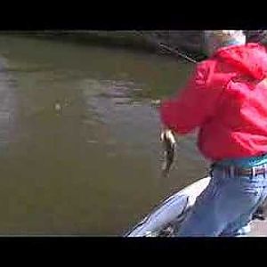 Secrets to Successful Tidal Bass Fishing on the Delaware Riv