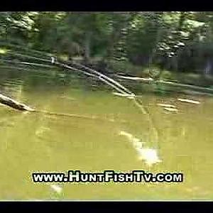 Fishing Mississippi River Backwater Bass Fishing