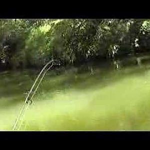 Bass fishing : Thin Blue Line Style