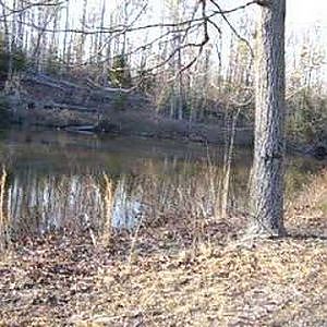 Bass Fishing  5Lb 8 oz on live bait in winter