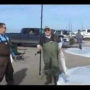 Striped Bass Fishing