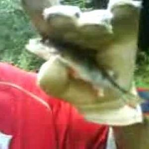 fishing on canal