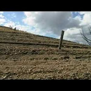 GOLDEN PERCH TACTICS - LAKE EILDON